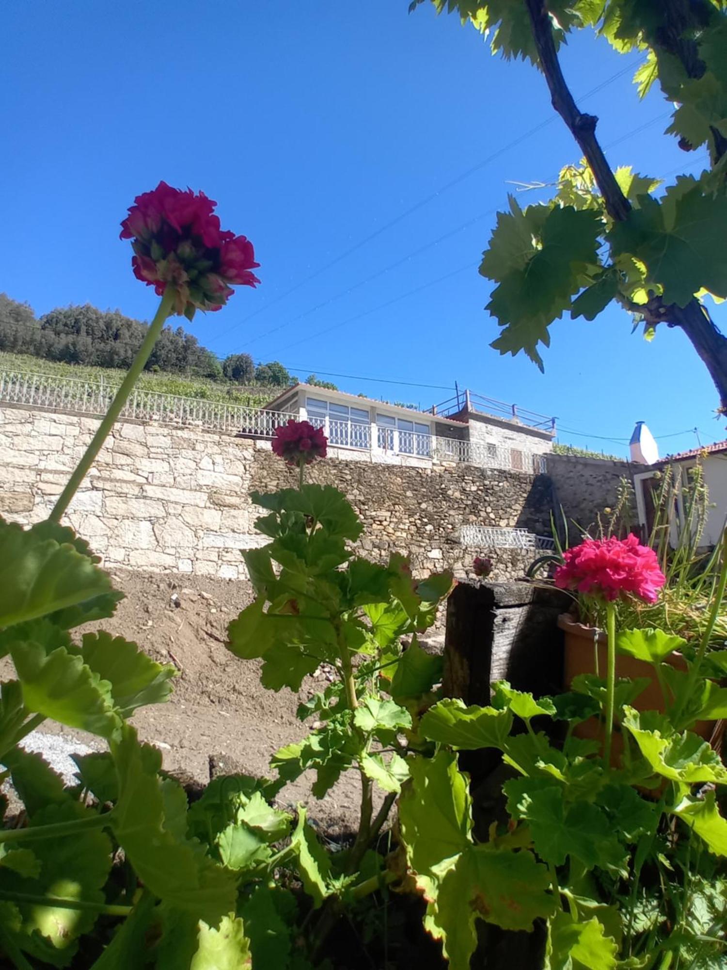 Casa Da Quinta Do Porto Villa Lamego Exterior foto