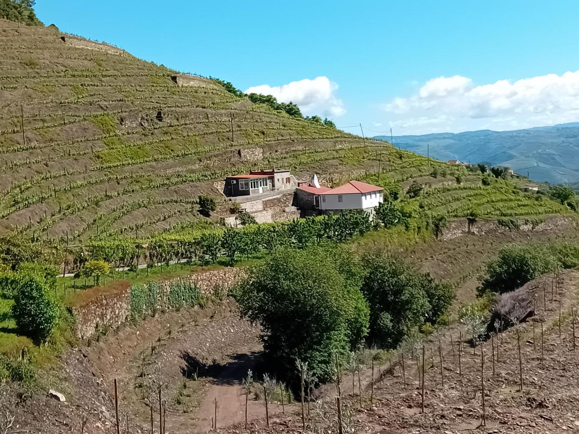 Casa Da Quinta Do Porto Villa Lamego Exterior foto
