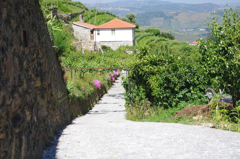 Casa Da Quinta Do Porto Villa Lamego Exterior foto