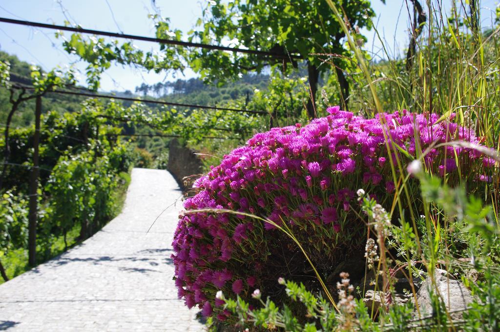 Casa Da Quinta Do Porto Villa Lamego Exterior foto